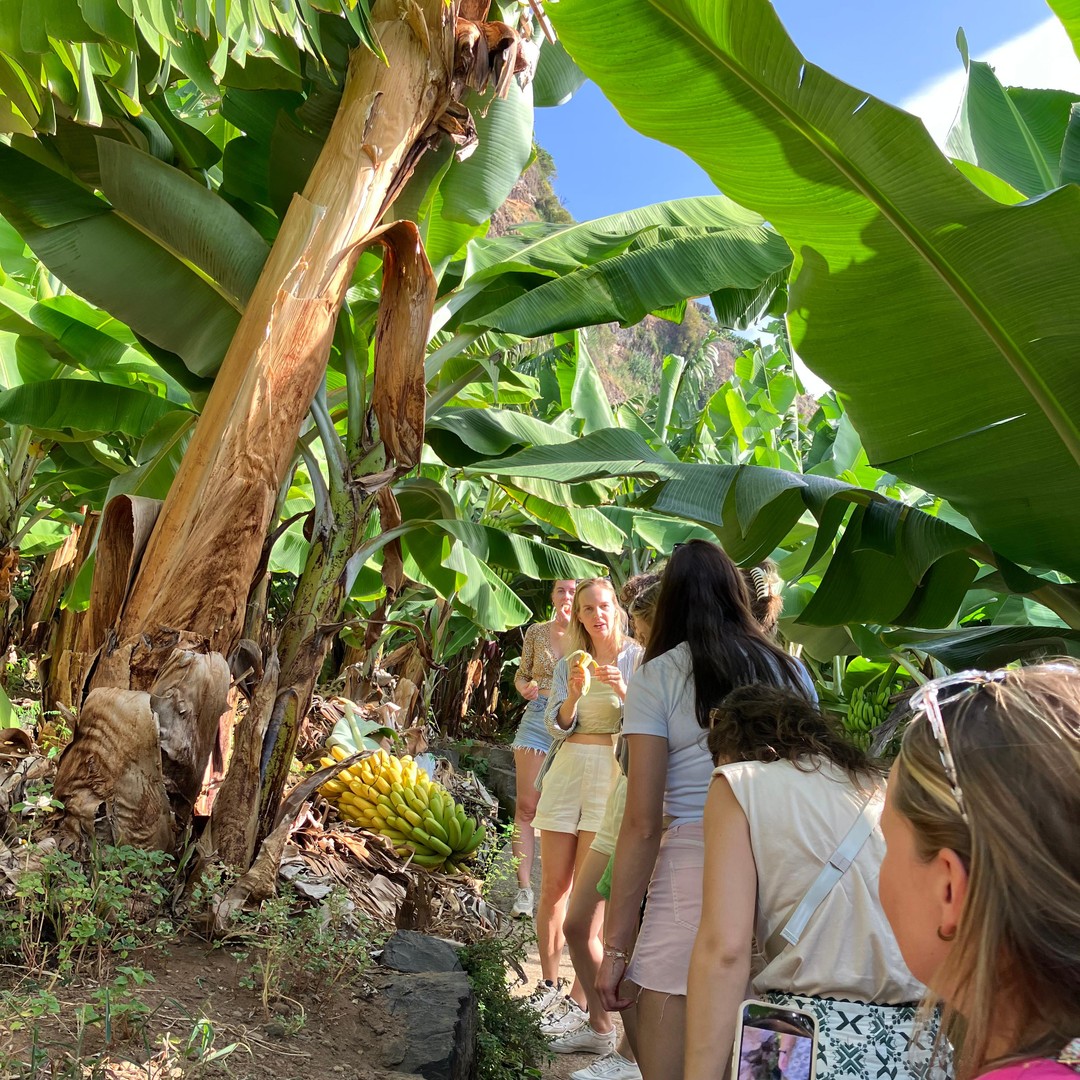 Tour Plantación de Banano