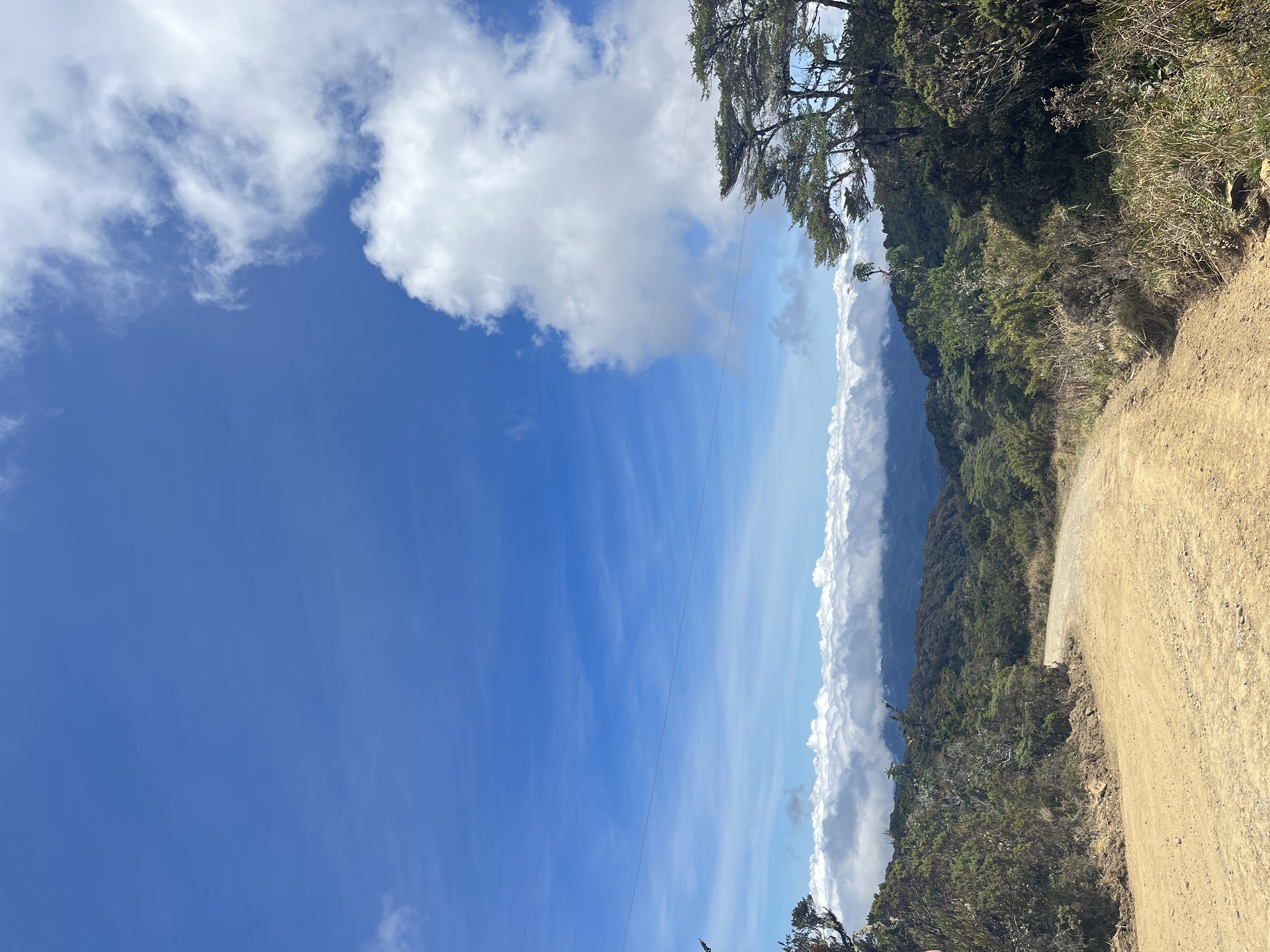 Tour Bosque del Páramo